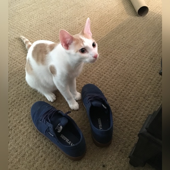 mattie_2_kicks